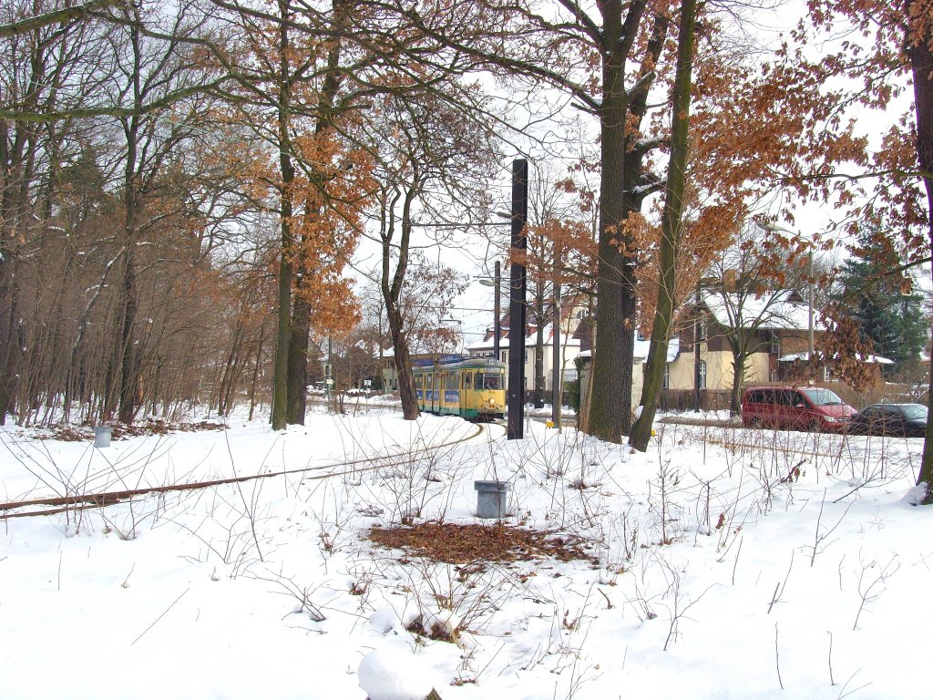 Durch den Schnee nach Fridrichshagen, 29.1.2010