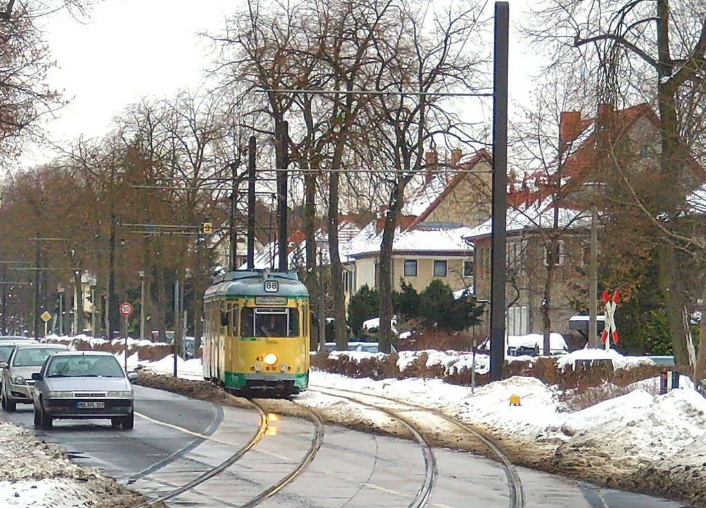 Strassenquerung kurz vor der Wendeschleife Friedrichshagen, 29. 1. 2010