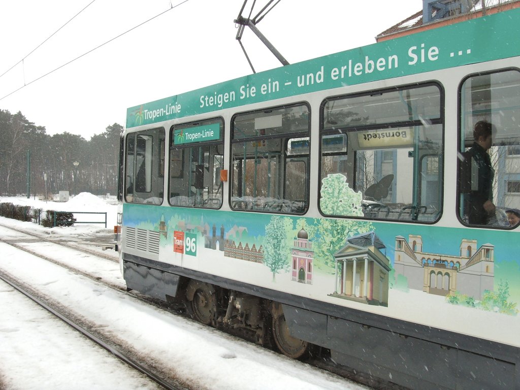Tropen-Linie 96 der ViP mit entsprechend beschrifteten KT4D, Potsdam 4.2.2010