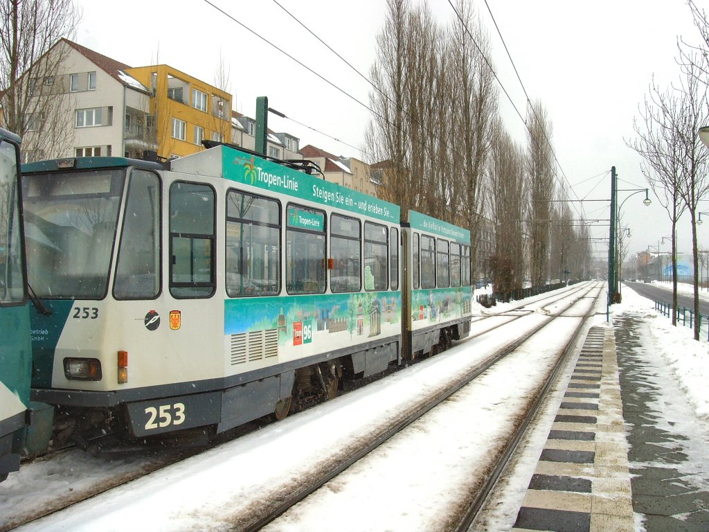 Tw 253 als Hnger in der Endstation Marie-Juchasz-Strasse, Potsdam 4.2.2010