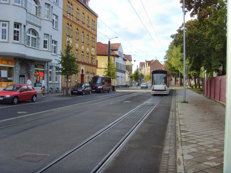 Stadteinwrts fahrender Combino in der Magdeburger Allee, Erfurt Oktober 2009