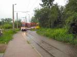Linienzug in der Schleife Sandow, daneben hist. Strassenbahnzug, Cottbus 6.6.2009