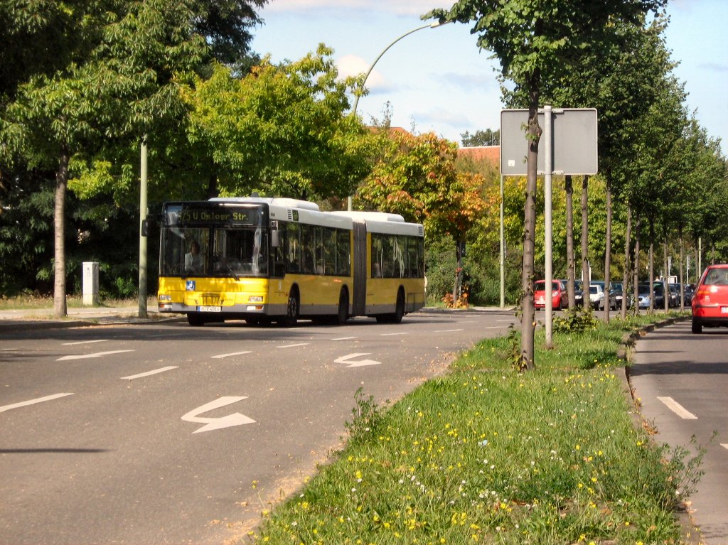 Gelenkbus in Berlin-Tegel, 13.9.2009