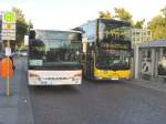 Bus/32741/links-s-bahn-ersatzverkehr-am-bhf-zoo-rechts Links S-Bahn-Ersatzverkehr am Bhf Zoo, rechts daneben Linienbus der BVG